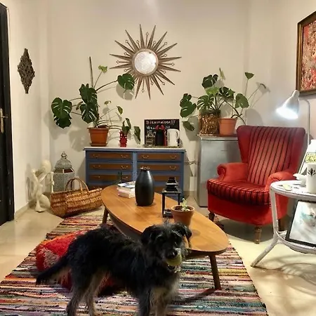 La Casa Del Sur Homestay Granada